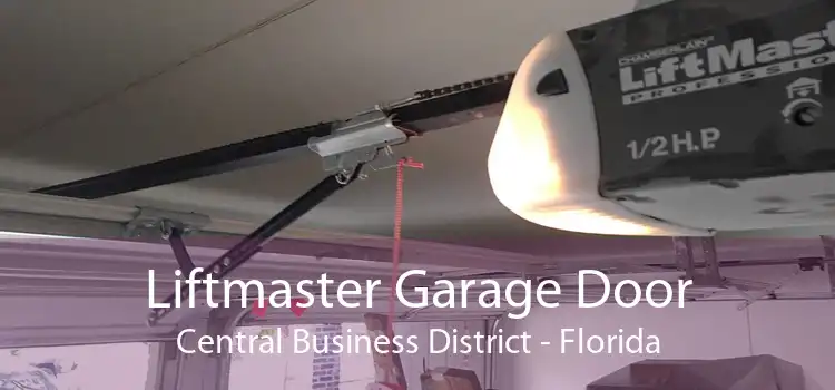 Liftmaster Garage Door Central Business District - Florida