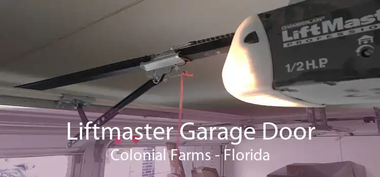 Liftmaster Garage Door Colonial Farms - Florida