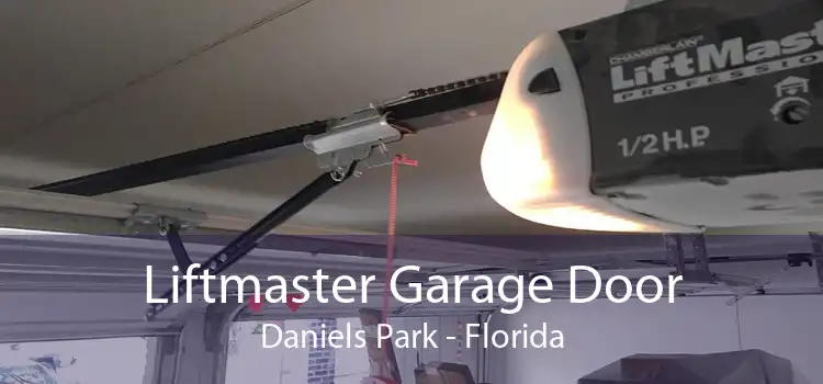 Liftmaster Garage Door Daniels Park - Florida