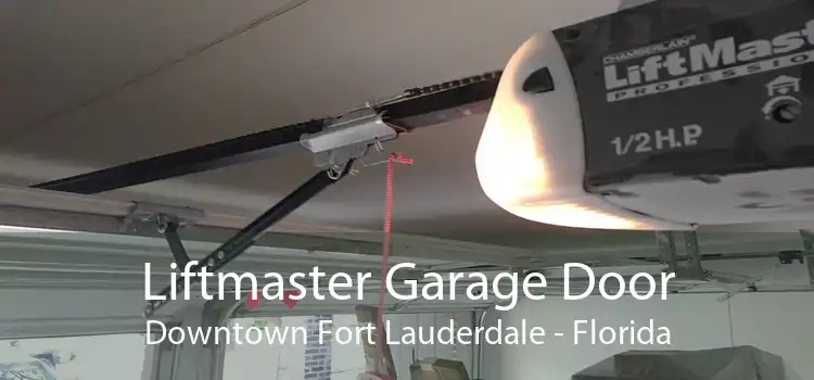 Liftmaster Garage Door Downtown Fort Lauderdale - Florida