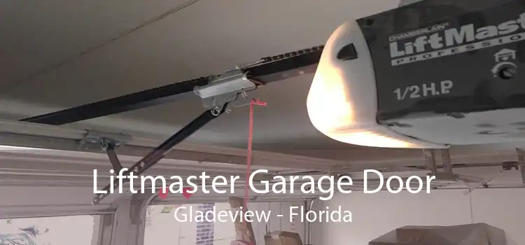 Liftmaster Garage Door Gladeview - Florida