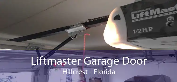 Liftmaster Garage Door Hillcrest - Florida