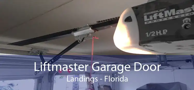 Liftmaster Garage Door Landings - Florida