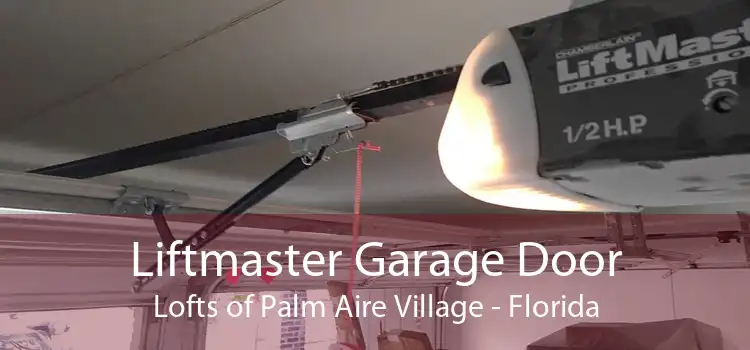 Liftmaster Garage Door Lofts of Palm Aire Village - Florida