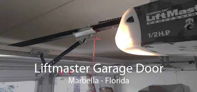 Liftmaster Garage Door Marbella - Florida