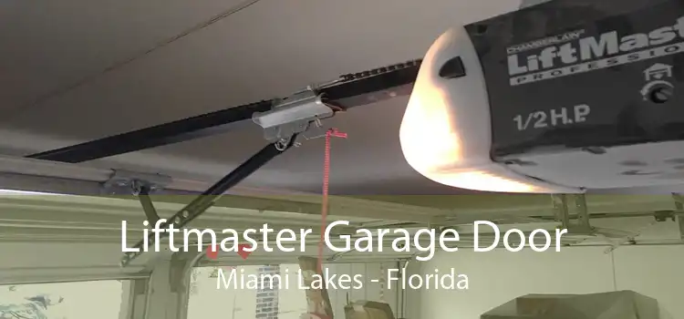 Liftmaster Garage Door Miami Lakes - Florida