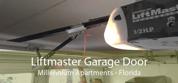 Liftmaster Garage Door Millennium Apartments - Florida