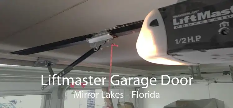 Liftmaster Garage Door Mirror Lakes - Florida