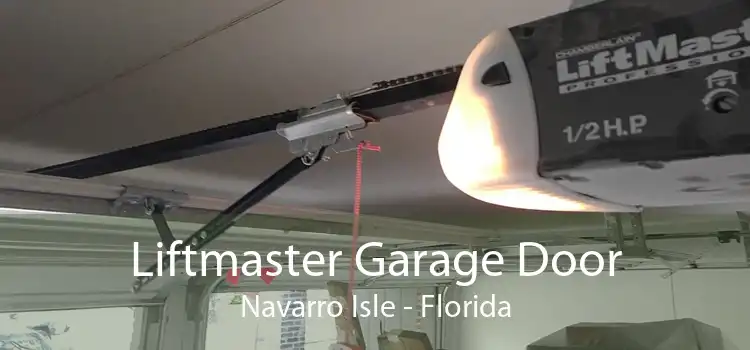 Liftmaster Garage Door Navarro Isle - Florida