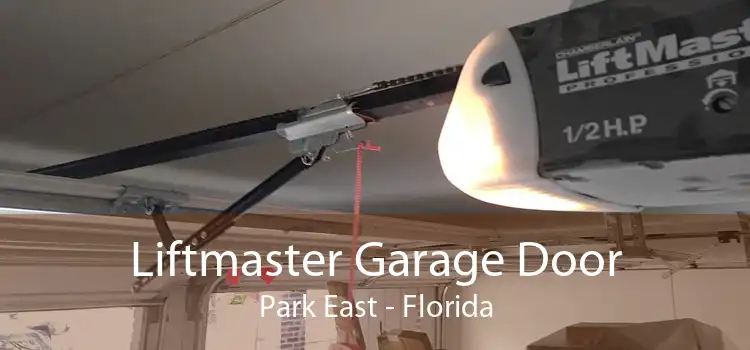 Liftmaster Garage Door Park East - Florida