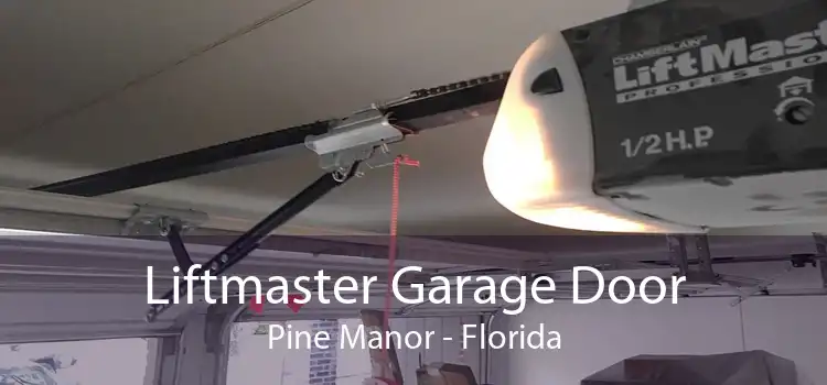 Liftmaster Garage Door Pine Manor - Florida