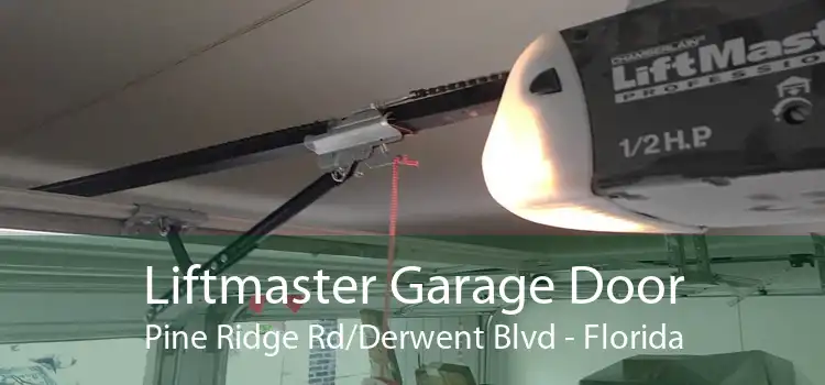 Liftmaster Garage Door Pine Ridge Rd/Derwent Blvd - Florida