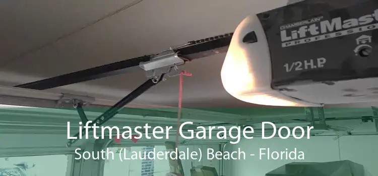 Liftmaster Garage Door South (Lauderdale) Beach - Florida