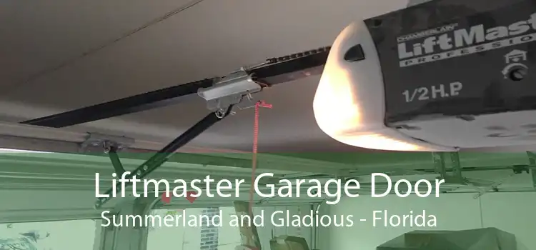 Liftmaster Garage Door Summerland and Gladious - Florida