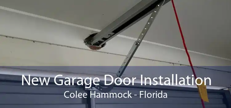 New Garage Door Installation Colee Hammock - Florida