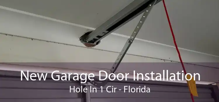 New Garage Door Installation Hole In 1 Cir - Florida