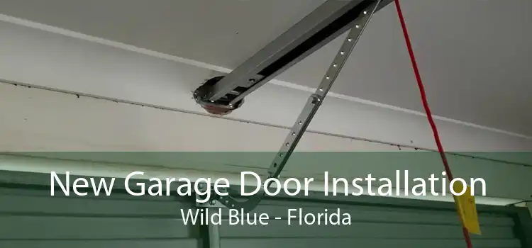 New Garage Door Installation Wild Blue - Florida