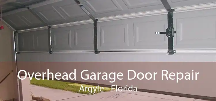 Overhead Garage Door Repair Argyle - Florida