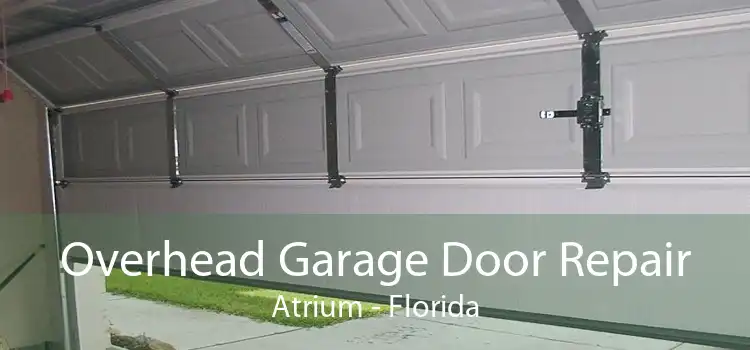 Overhead Garage Door Repair Atrium - Florida