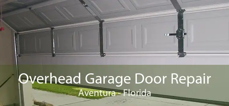 Overhead Garage Door Repair Aventura - Florida