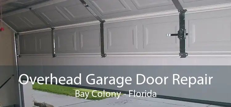 Overhead Garage Door Repair Bay Colony - Florida