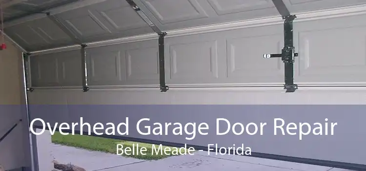 Overhead Garage Door Repair Belle Meade - Florida