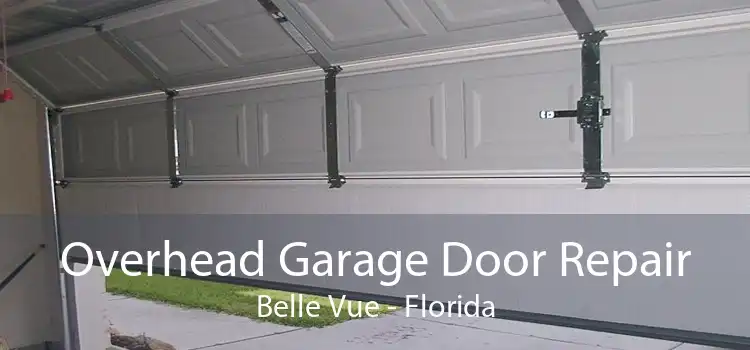 Overhead Garage Door Repair Belle Vue - Florida