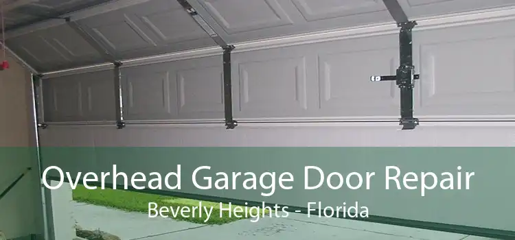 Overhead Garage Door Repair Beverly Heights - Florida