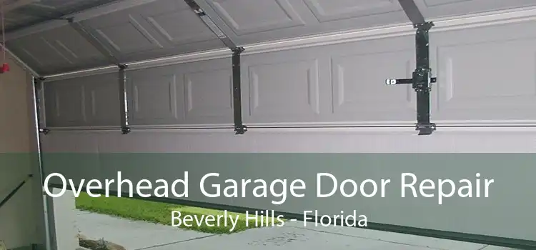 Overhead Garage Door Repair Beverly Hills - Florida