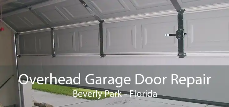 Overhead Garage Door Repair Beverly Park - Florida