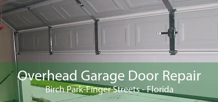 Overhead Garage Door Repair Birch Park-Finger Streets - Florida