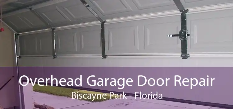 Overhead Garage Door Repair Biscayne Park - Florida