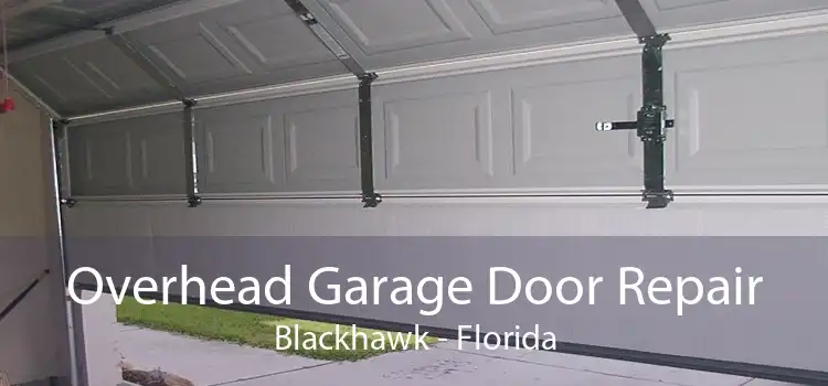 Overhead Garage Door Repair Blackhawk - Florida