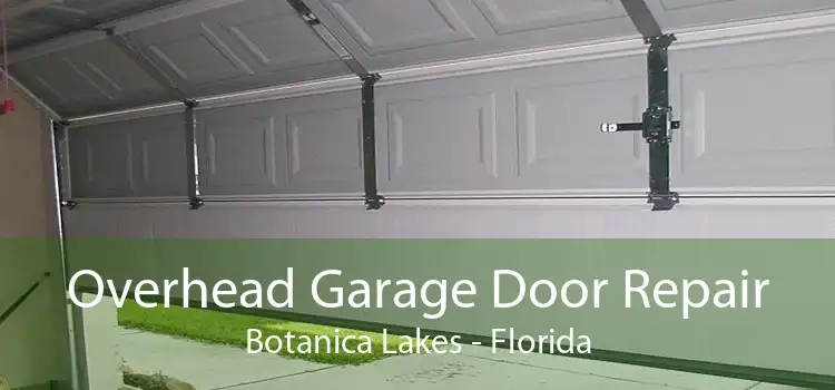 Overhead Garage Door Repair Botanica Lakes - Florida