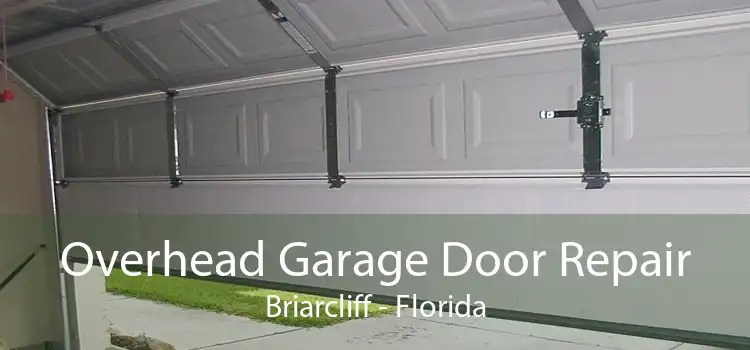 Overhead Garage Door Repair Briarcliff - Florida