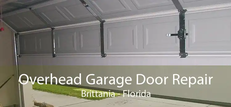 Overhead Garage Door Repair Brittania - Florida