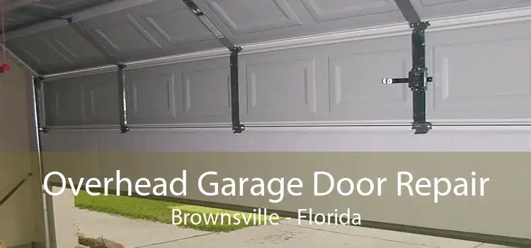 Overhead Garage Door Repair Brownsville - Florida