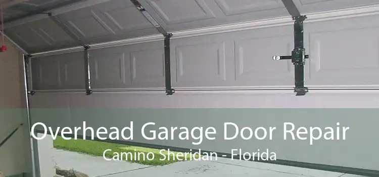 Overhead Garage Door Repair Camino Sheridan - Florida