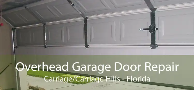 Overhead Garage Door Repair Carriage/Carriage Hills - Florida