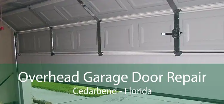 Overhead Garage Door Repair Cedarbend - Florida