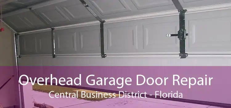 Overhead Garage Door Repair Central Business District - Florida