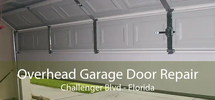 Overhead Garage Door Repair Challenger Blvd - Florida