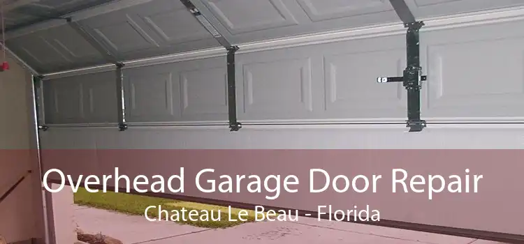 Overhead Garage Door Repair Chateau Le Beau - Florida