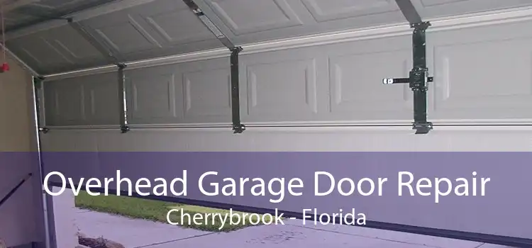 Overhead Garage Door Repair Cherrybrook - Florida