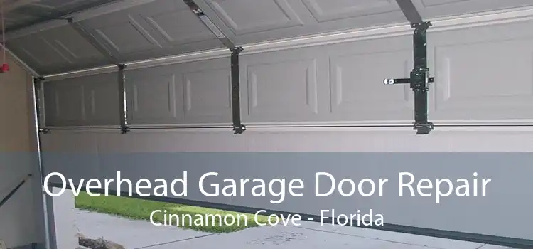 Overhead Garage Door Repair Cinnamon Cove - Florida