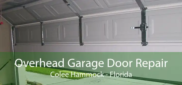 Overhead Garage Door Repair Colee Hammock - Florida