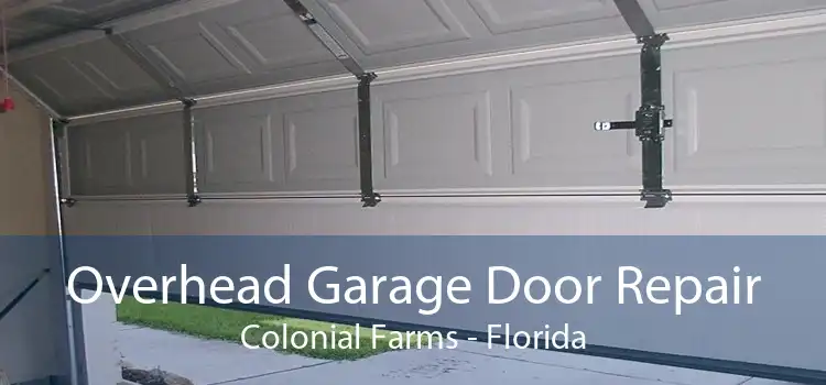 Overhead Garage Door Repair Colonial Farms - Florida