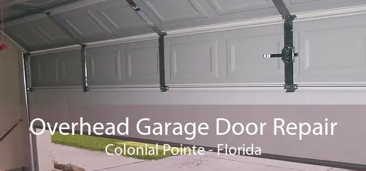 Overhead Garage Door Repair Colonial Pointe - Florida