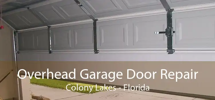 Overhead Garage Door Repair Colony Lakes - Florida