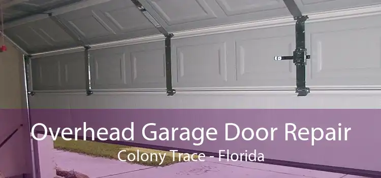 Overhead Garage Door Repair Colony Trace - Florida